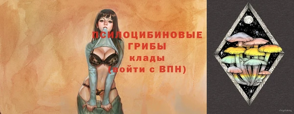 герыч Алзамай