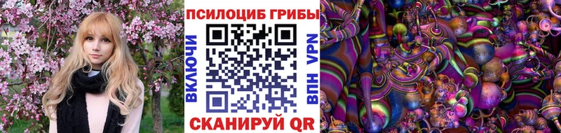 продажа наркотиков  mega зеркало  Псилоцибиновые грибы Psilocybine cubensis  Пустошка 